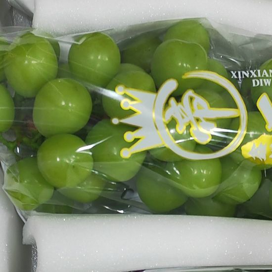 Fresh Shine Muscat Grape – Premium Seedless Green Grapes Bulk Export, Dynamic Fresh-Keeping 40 Days, 25 Days Sea Freight Ready – China Origin B2B Wholesale (2 Pieces Min Order)