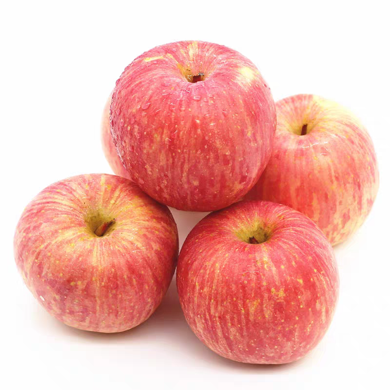 Fresh Fuji Apple – Sweet & Crisp, from Jingning (Gansu) and Shandong, New Launch Ready for Trial Orders, B2B Export Bulk – China Origin (2 Pieces Min Order)