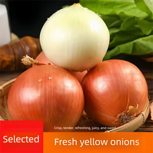 Fresh Onion Bulk Export – Sweet Purple Onion & Yellow Onion, Year-Round Stock Available, 40+ Days Sea Freight, B2B Wholesale for Africa – China Origin (2 Pieces Min Order)