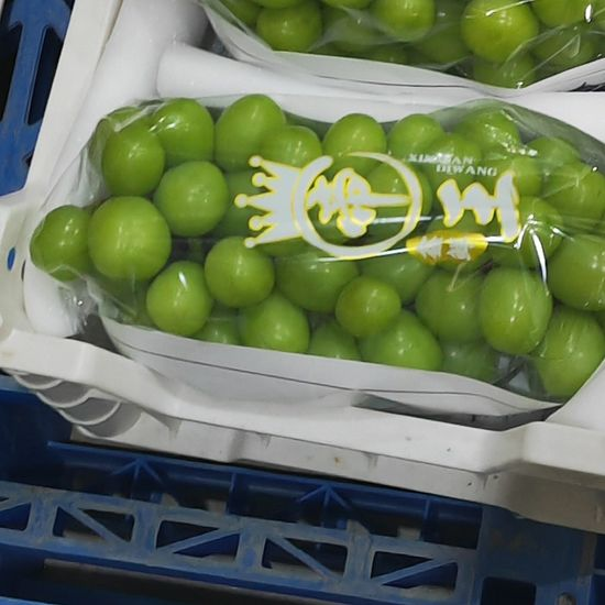 Fresh Shine Muscat Grape – Premium Seedless Green Grapes Bulk Export, Dynamic Fresh-Keeping 40 Days, 25 Days Sea Freight Ready – China Origin B2B Wholesale (2 Pieces Min Order)