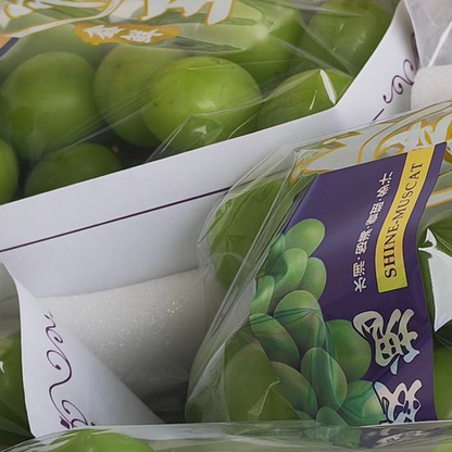 Fresh Shine Muscat Grape – Premium Seedless Green Grapes Bulk Export, Dynamic Fresh-Keeping 40 Days, 25 Days Sea Freight Ready – China Origin B2B Wholesale (2 Pieces Min Order)