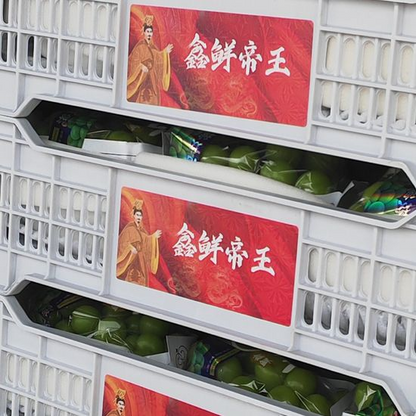 Fresh Shine Muscat Grape – Premium Seedless Green Grapes Bulk Export, Dynamic Fresh-Keeping 40 Days, 25 Days Sea Freight Ready – China Origin B2B Wholesale (2 Pieces Min Order)