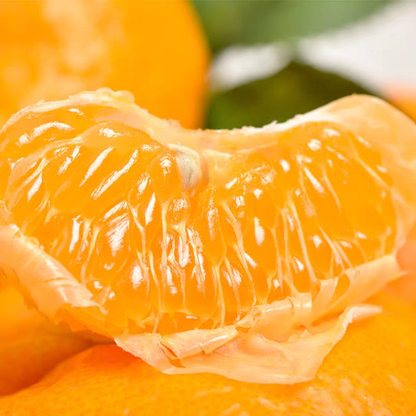 Fresh Orah Orange – Wogan Late Sweet Orange Bulk Export, 40+ Days Sea Freight Ready, Easy Storage, High Volume Supply – China B2B Wholesale (2 Pieces Min Order)