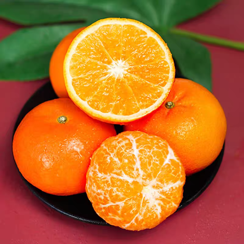 Fresh Orah Orange – Wogan Late Sweet Orange Bulk Export, 40+ Days Sea Freight Ready, Easy Storage, High Volume Supply – China B2B Wholesale (2 Pieces Min Order)