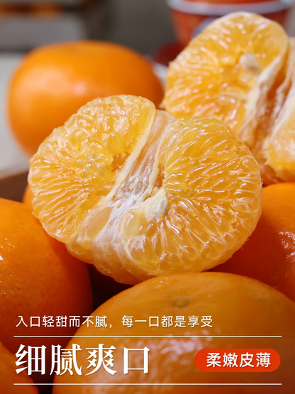 Fresh Orah Orange – Wogan Late Sweet Orange Bulk Export, 40+ Days Sea Freight Ready, Easy Storage, High Volume Supply – China B2B Wholesale (2 Pieces Min Order)