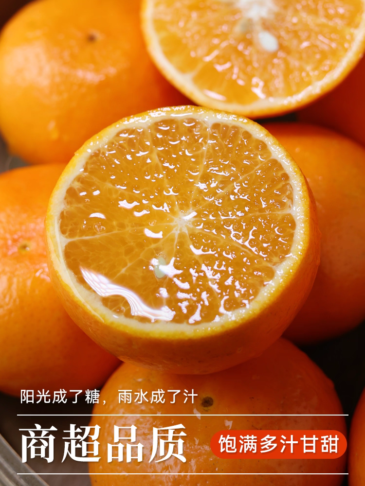 Fresh Orah Orange – Wogan Late Sweet Orange Bulk Export, 40+ Days Sea Freight Ready, Easy Storage, High Volume Supply – China B2B Wholesale (2 Pieces Min Order)