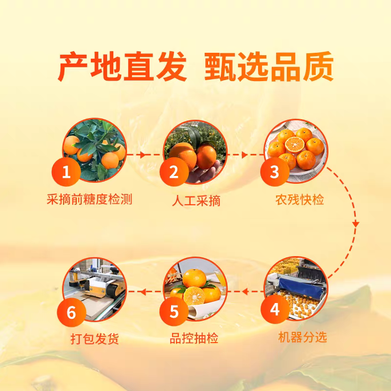 Fresh Orah Orange – Wogan Late Sweet Orange Bulk Export, 40+ Days Sea Freight Ready, Easy Storage, High Volume Supply – China B2B Wholesale (2 Pieces Min Order)