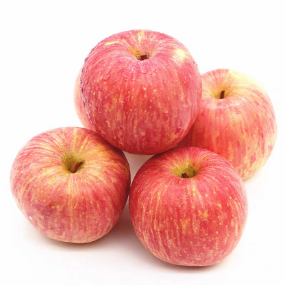 Fresh Fuji Apple – Sweet & Crisp, from Jingning (Gansu) and Shandong, New Launch Ready for Trial Orders, B2B Export Bulk – China Origin (2 Pieces Min Order)