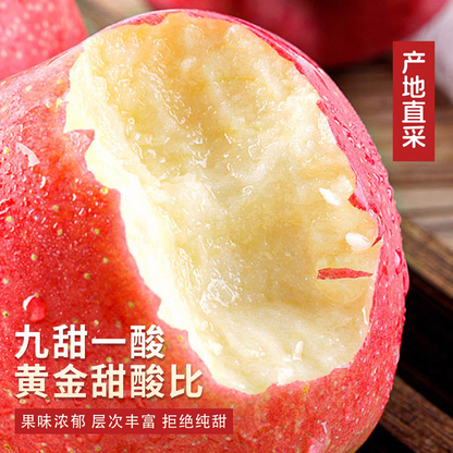 Fresh Fuji Apple – Sweet & Crisp, from Jingning (Gansu) and Shandong, New Launch Ready for Trial Orders, B2B Export Bulk – China Origin (2 Pieces Min Order)