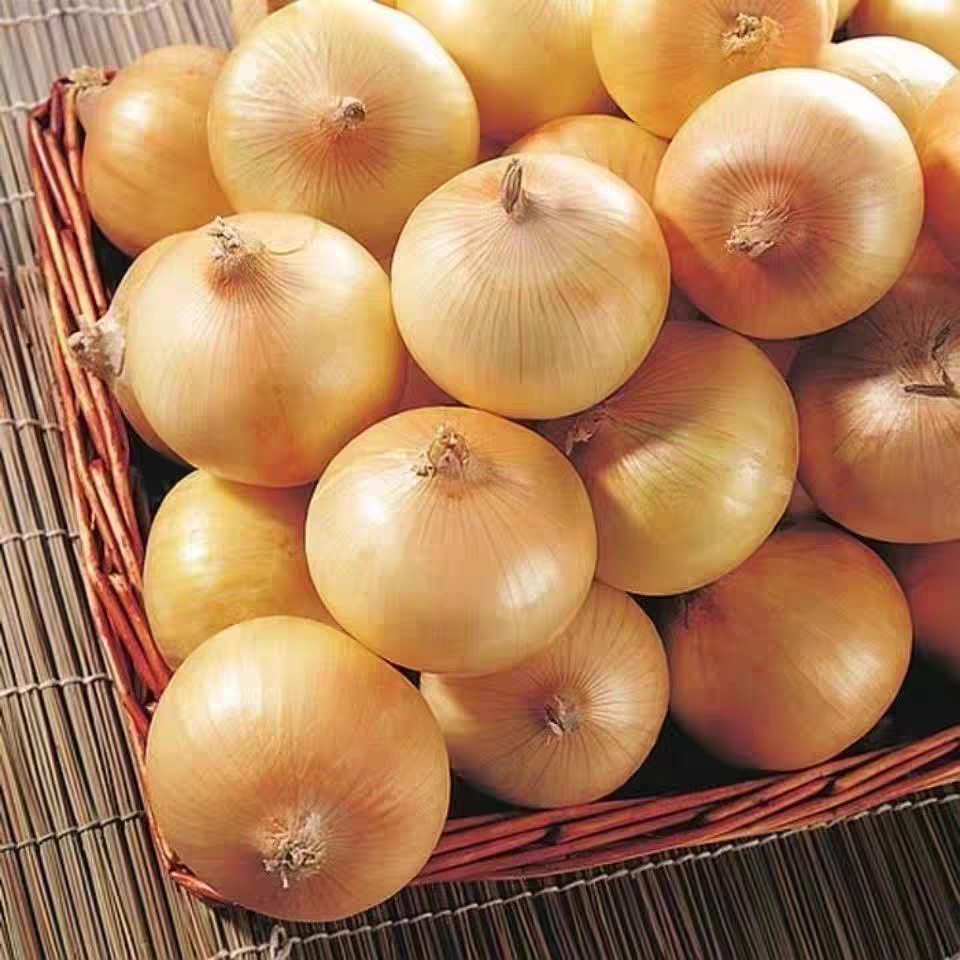 Fresh Onion Bulk Export – Sweet Purple Onion & Yellow Onion, Year-Round Stock Available, 40+ Days Sea Freight, B2B Wholesale for Africa – China Origin (2 Pieces Min Order)