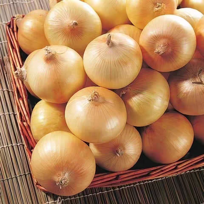 Fresh Onion Bulk Export – Sweet Purple Onion & Yellow Onion, Year-Round Stock Available, 40+ Days Sea Freight, B2B Wholesale for Africa – China Origin (2 Pieces Min Order)