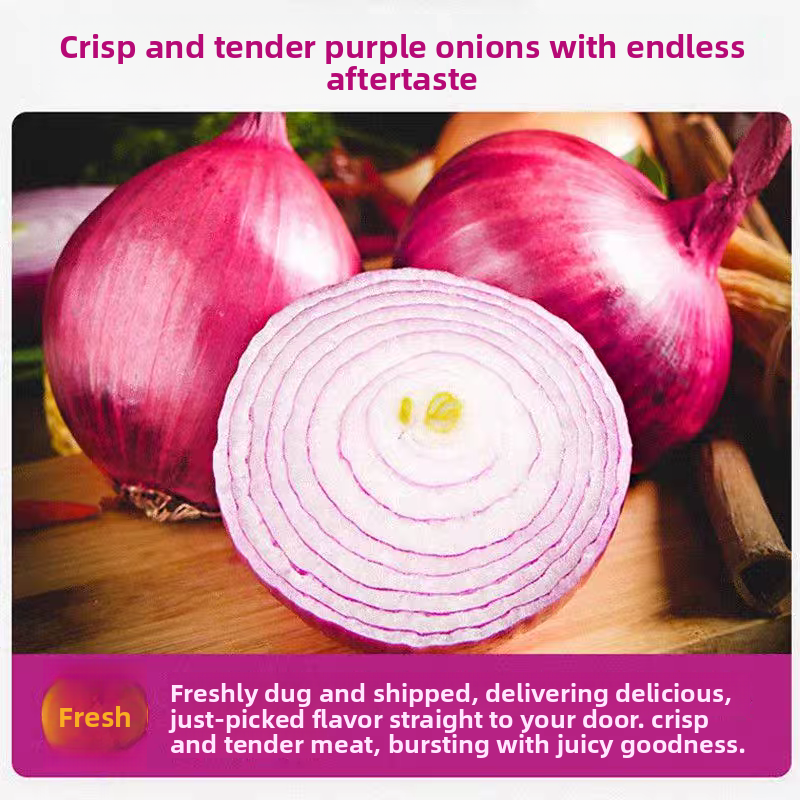 Fresh Onion Bulk Export – Sweet Purple Onion & Yellow Onion, Year-Round Stock Available, 40+ Days Sea Freight, B2B Wholesale for Africa – China Origin (2 Pieces Min Order)