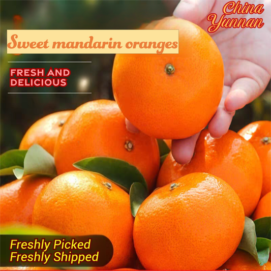 Fresh Orah Orange – Wogan Late Sweet Orange Bulk Export, 40+ Days Sea Freight Ready, Easy Storage, High Volume Supply – China B2B Wholesale (2 Pieces Min Order)