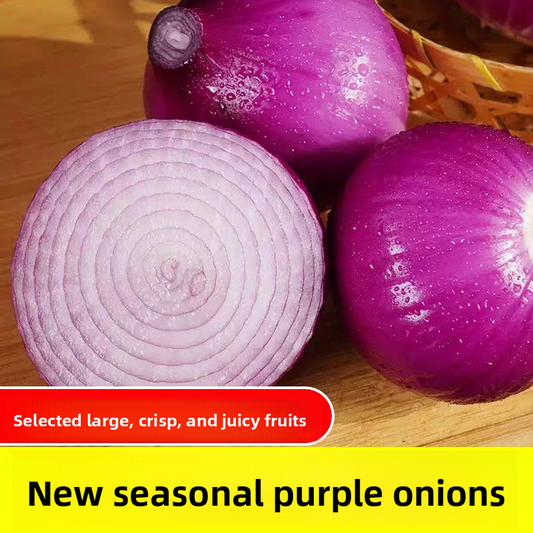 Fresh Onion Bulk Export – Sweet Purple Onion & Yellow Onion, Year-Round Stock Available, 40+ Days Sea Freight, B2B Wholesale for Africa – China Origin (2 Pieces Min Order)